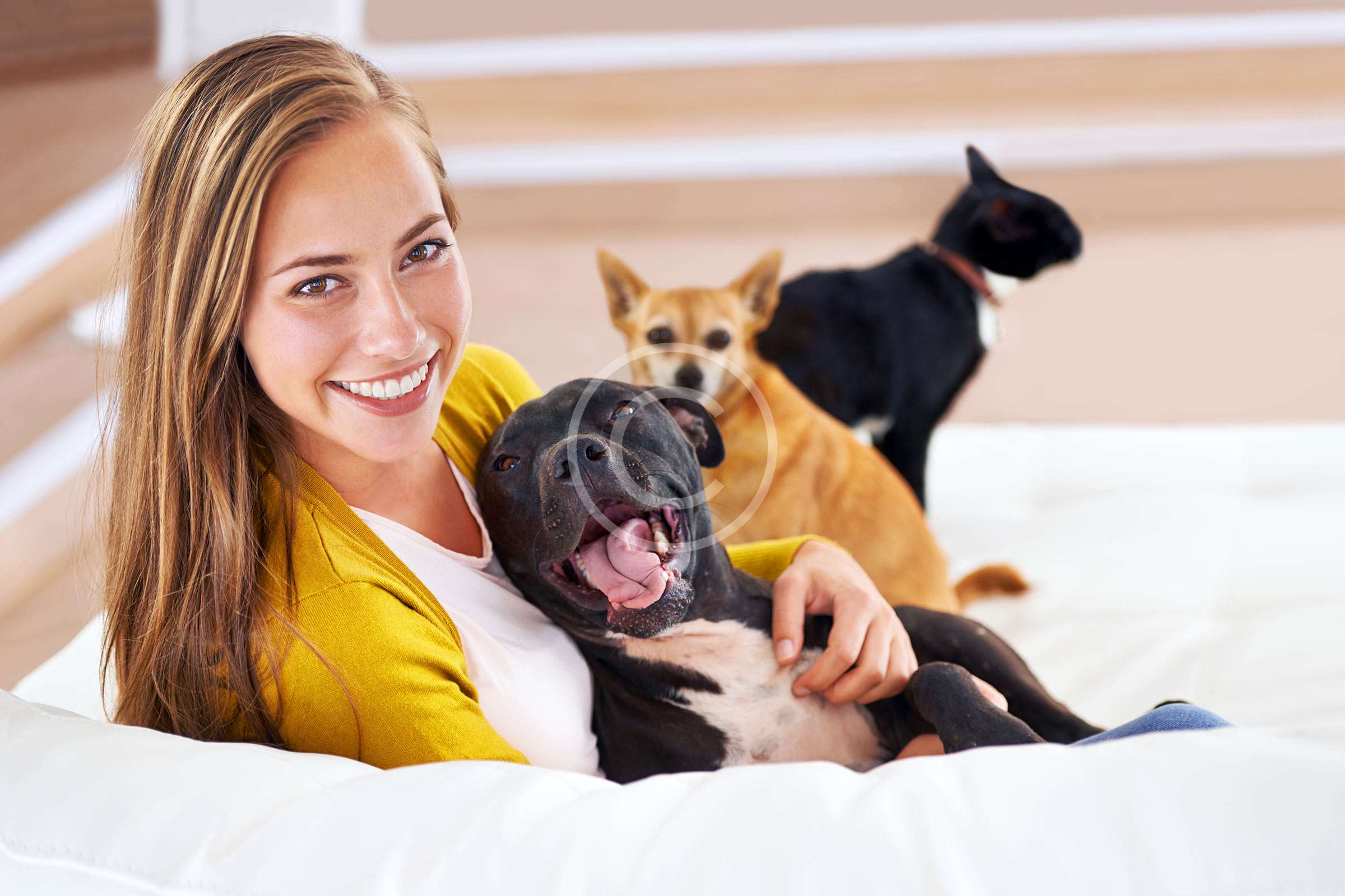 image-12 Top 5 Dog Behavior Myths