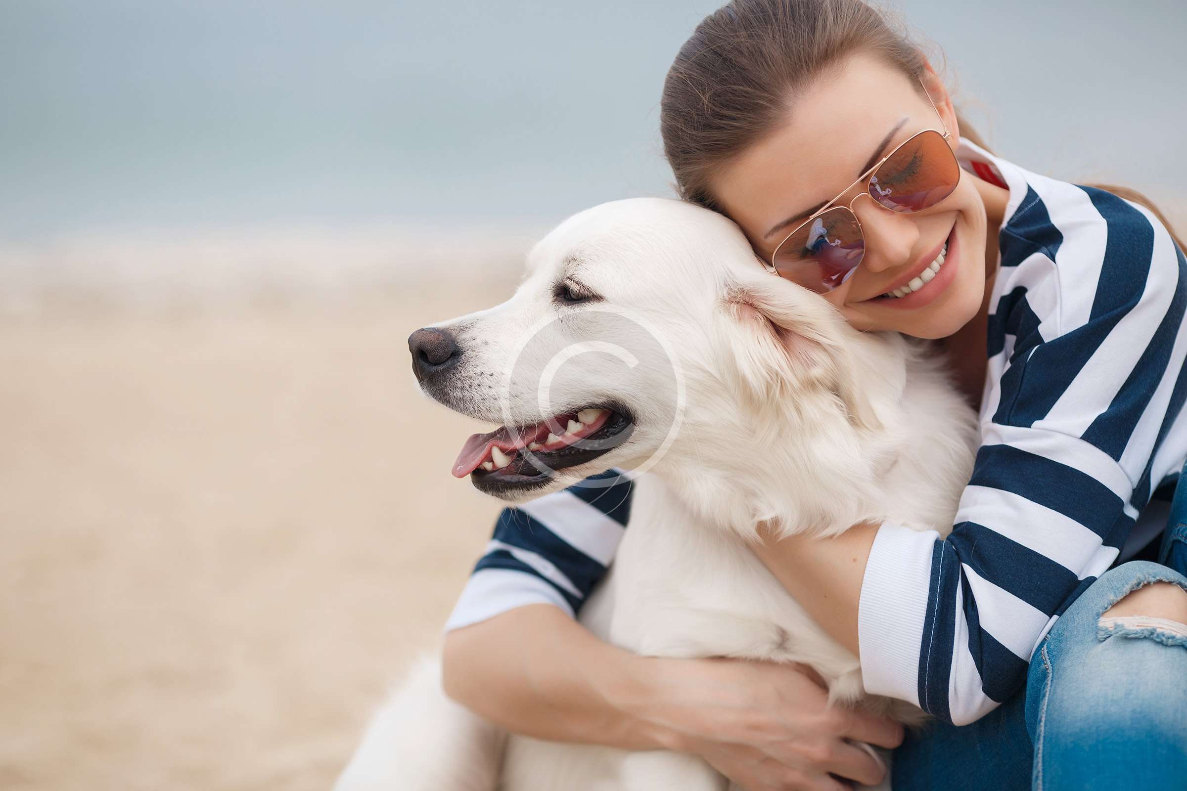 image-9 Selection Guide for Dental Toys & Treats for Your Dog