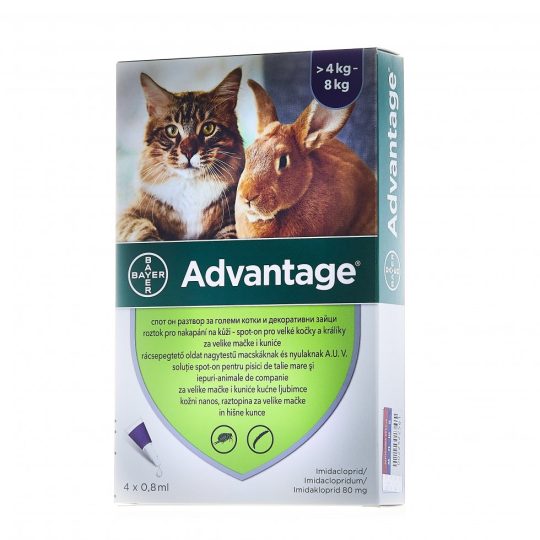 ADVANTAGE Ampula Spot on za mačke i kuniće 4-8kg