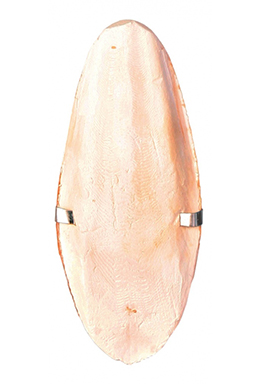 Trixie sipina kost sa držačem 12cm